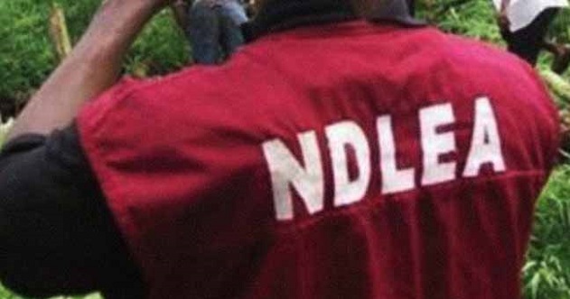 Investigation , NDLEA , abuse, attempted rape