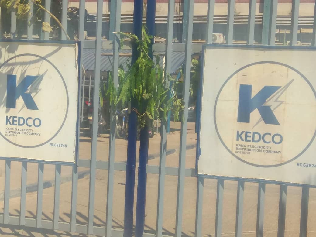 KEDCO Leaf