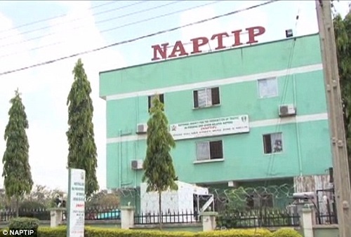 NAPTIP, clamp down, online, sexual exploitation, cyber security response team