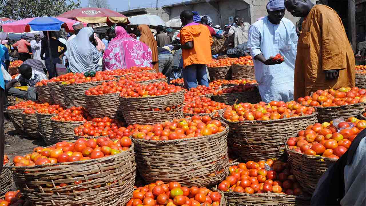 Tomatoe market