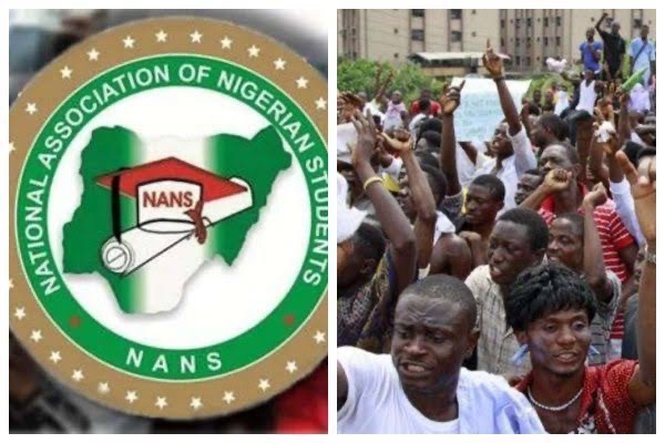 NANS, ASUU, Airports, Protest
