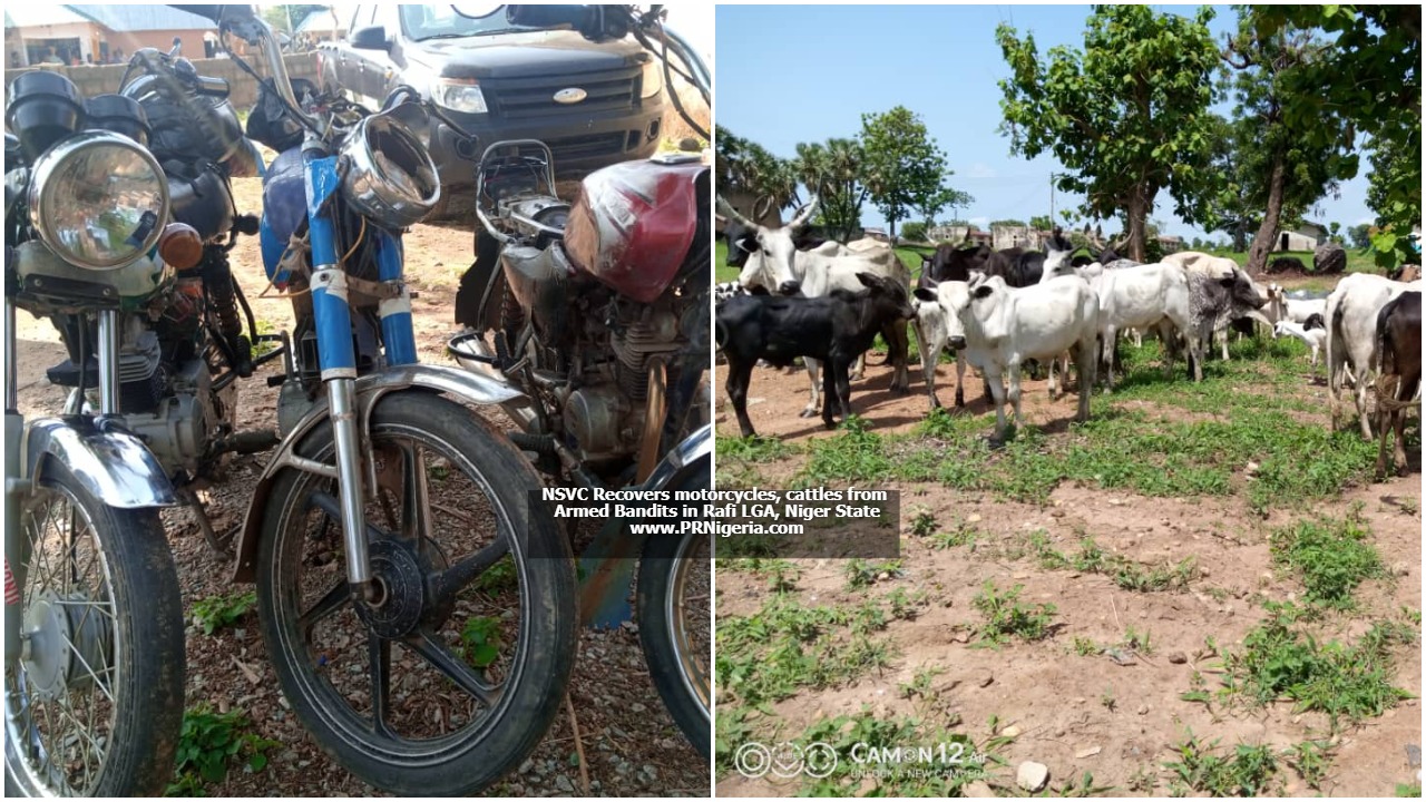 NSVC Recovers Motorcycles Cattle from Bandits in Rafi Niger State