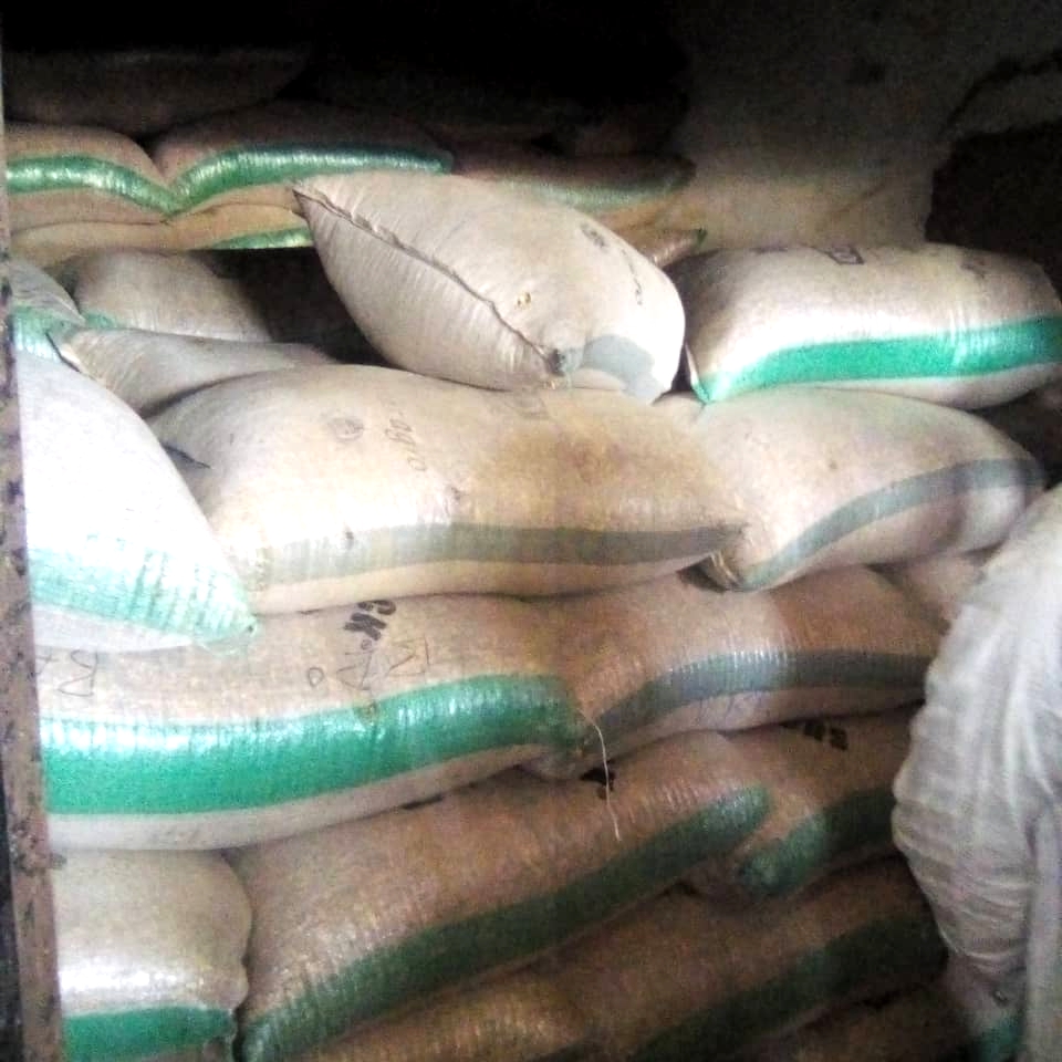Kano anti graft agency seizes 2 trucks of poisonous maize