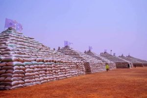 world, rice pyramid., Nigerians, rice, Abuja, Kano