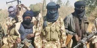 Bandits, terrorists, kill, traditional leader, Niger, Madaka communities