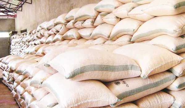 Fertilizers, Agriculture, Farmers, Kano