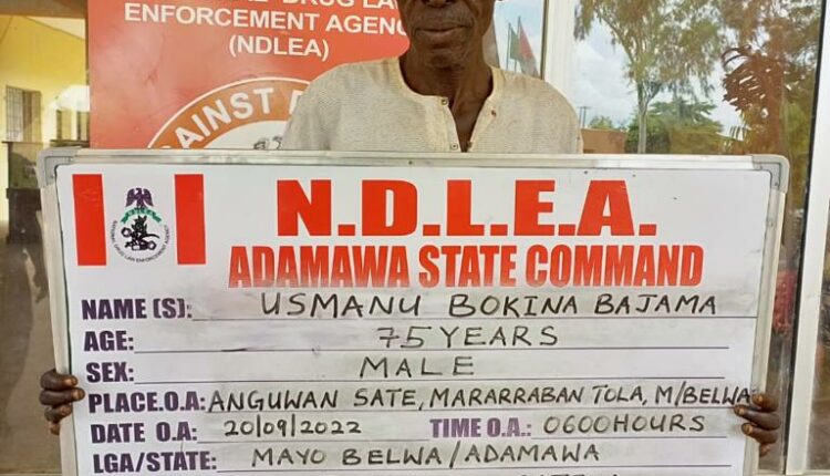 Usman Bokina Bajama (alias Clemen) , NDLEA, Arrest