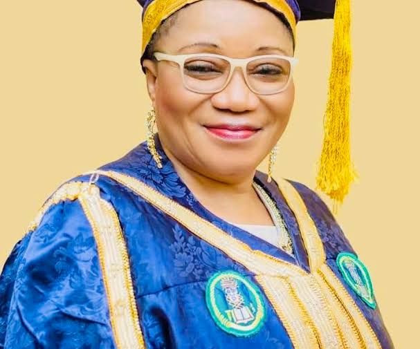 Committee of Vice-Chancellors, Nigeria, Federal Universities , Vice-Chancellor ,University of Benin, Lilian Salami, chairman