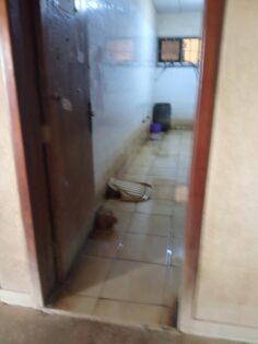 A Restroom in the Accidents and Emergency Centre of the UITH
