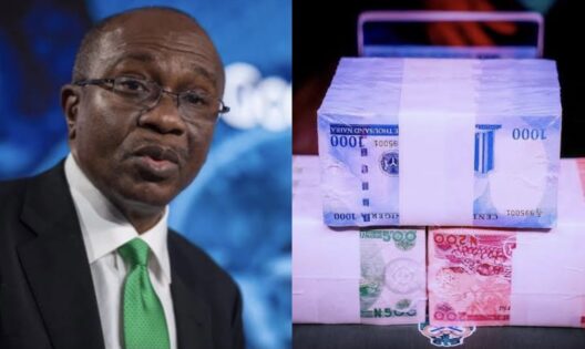 House of Reps, New Naira Notes, Godwin Emefiele , CBN