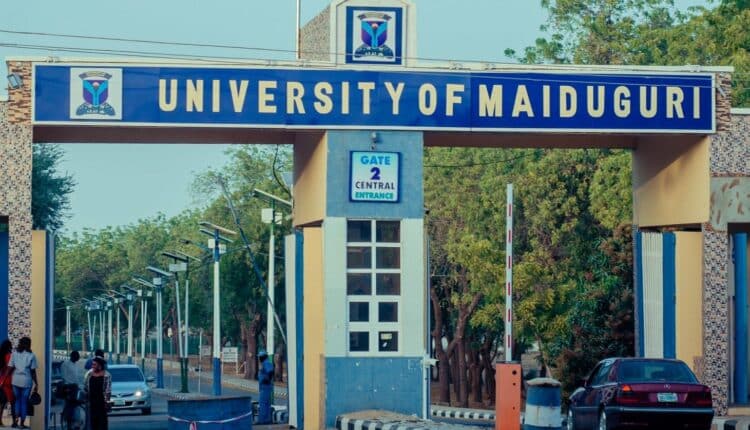 Students, University of Maiduguri, NANS, Increased Fees,