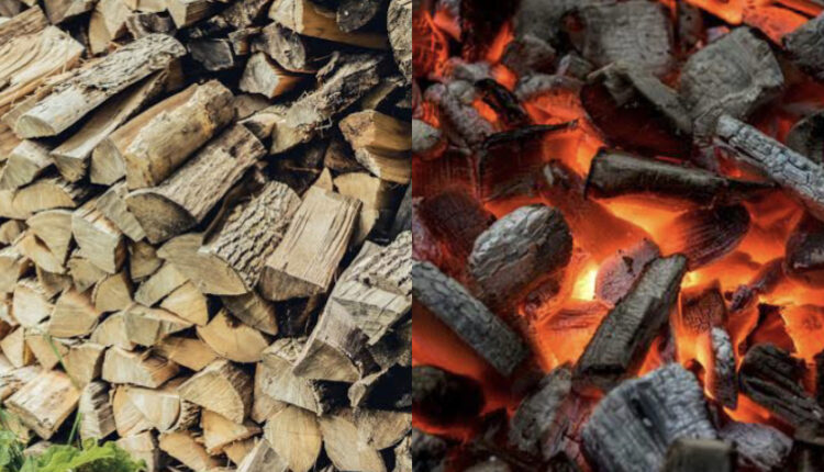 Logging, Jigawa, ban, tree felling, firewood, charcoal