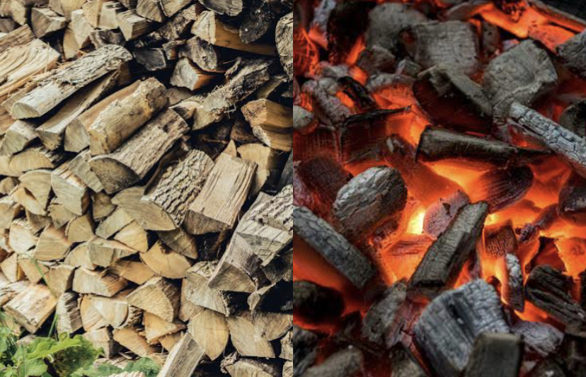Logging, Jigawa, ban, tree felling, firewood, charcoal
