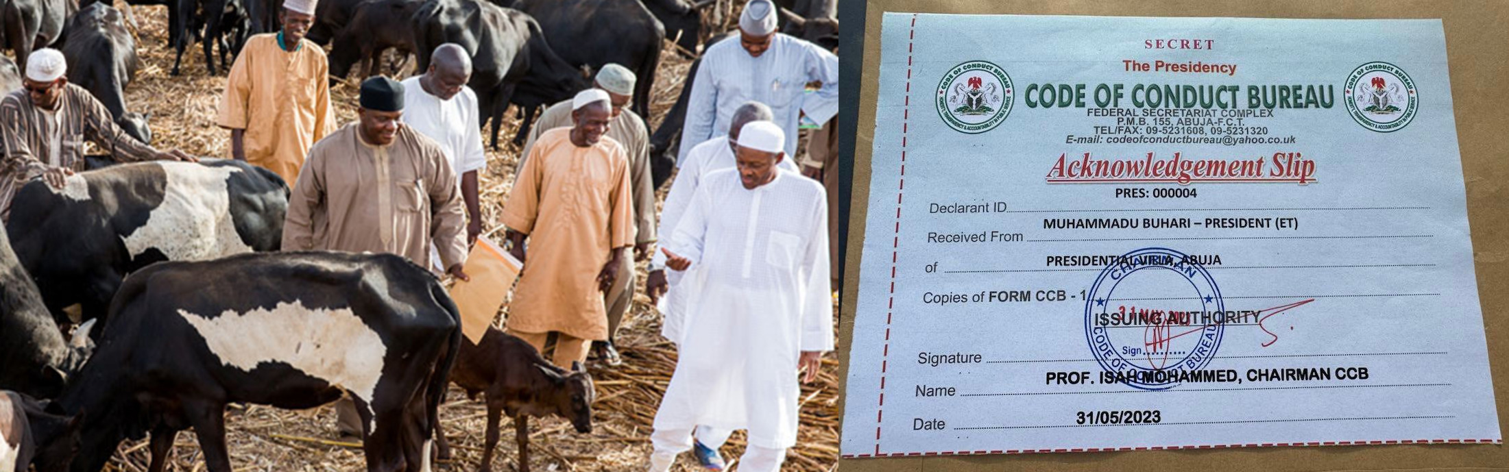 Muhammadu Buhari, Cows, Kaduna, Union Bank, CCB, Asset declaration form,