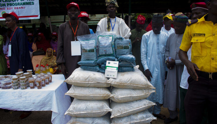 Palliative, Kano Govt. bags , rice, maize , vulnerable