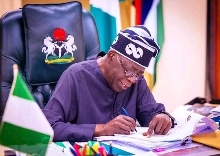 Bola Tinubu,governing councils, tertiary institutions,