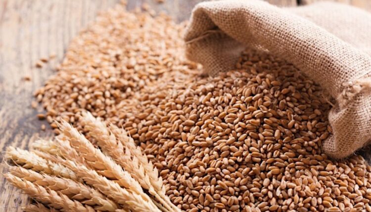 Abubakar Kyari, subsidy , wheat , Kano, farmers