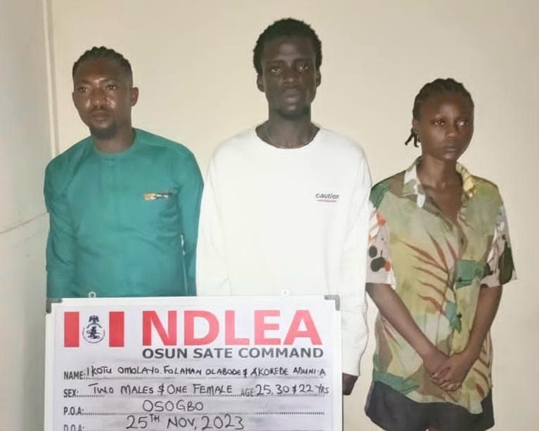 Osun, illicit drug party,‘unholy alliance’, NDLEA, Arrest
