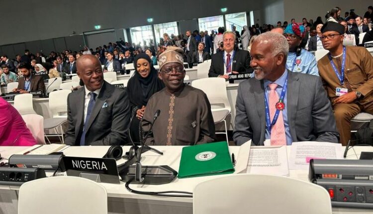 COP 28, Tope Ajayi, Bola Tinubu, Tony Elumelu, Nigeria, Delegates,