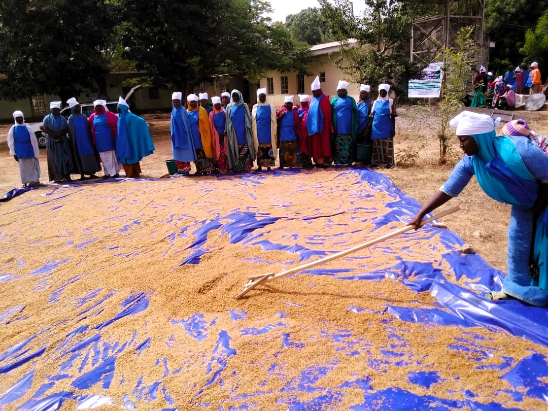 KSADP, women, rice , parboiling techniques, Kano, Fegi community, Kura LGA