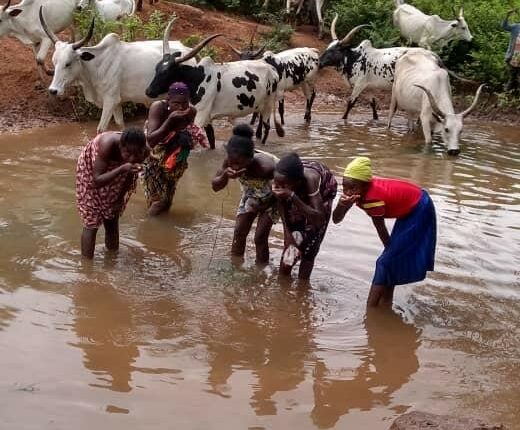 Inside neglected Abuja community where residents share contaminated water with cattle, without access to healthcare
