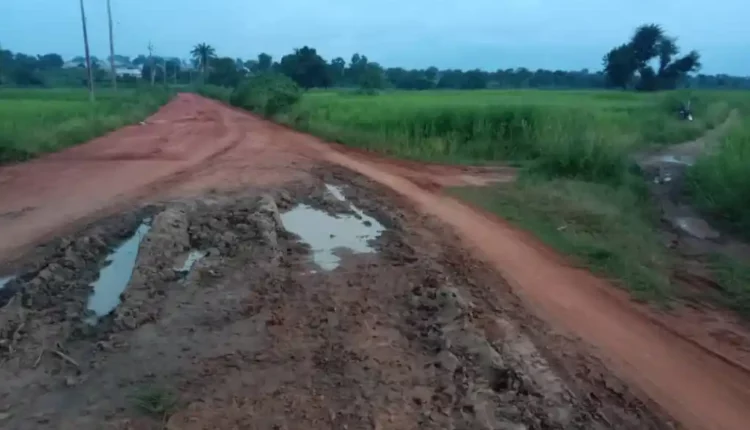 Patigi Local Government Area, Lower Niger River Basin Authority,Kwara ,road project ,Ragada-Edo-Kpansnako,