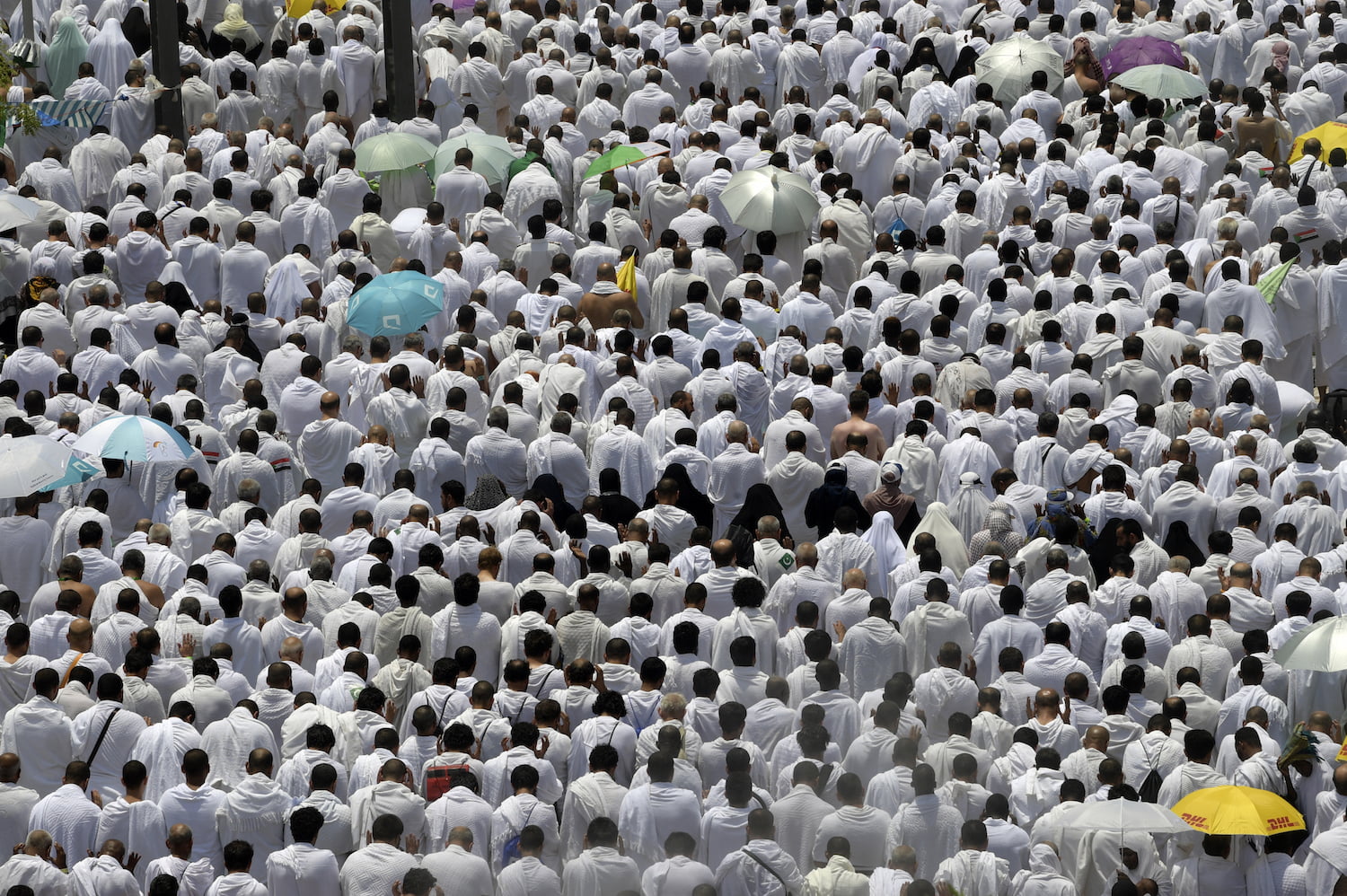 2024 Saudi Arabia reduces Hajj pilgrimage cost for Nigerians SolaceBase