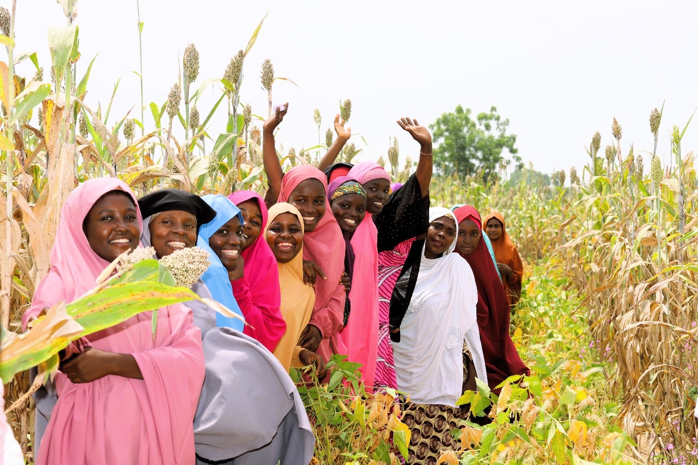 Women, farmers, SAA,Kano State, Nigeria, IWD,