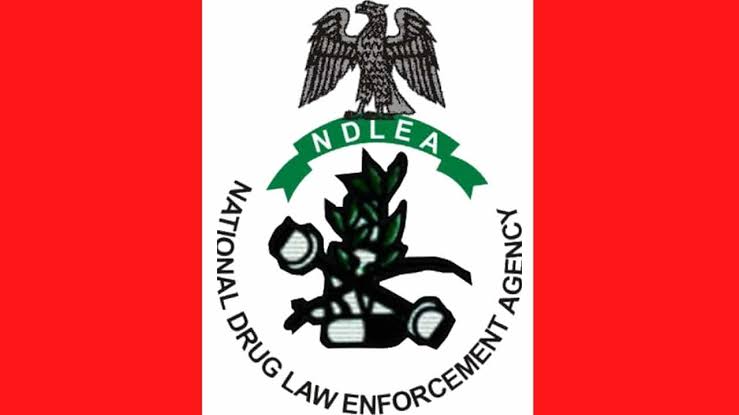 Scammers, NDLEA ,warn, Nigerians , scammers ,impersonation, Abroad, illicit drugs, cocaine